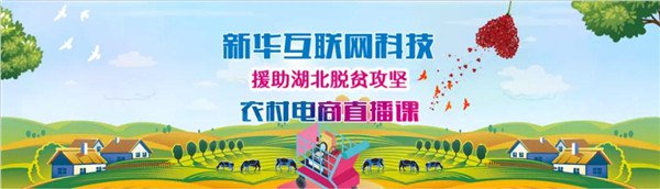 武汉新华电脑学校