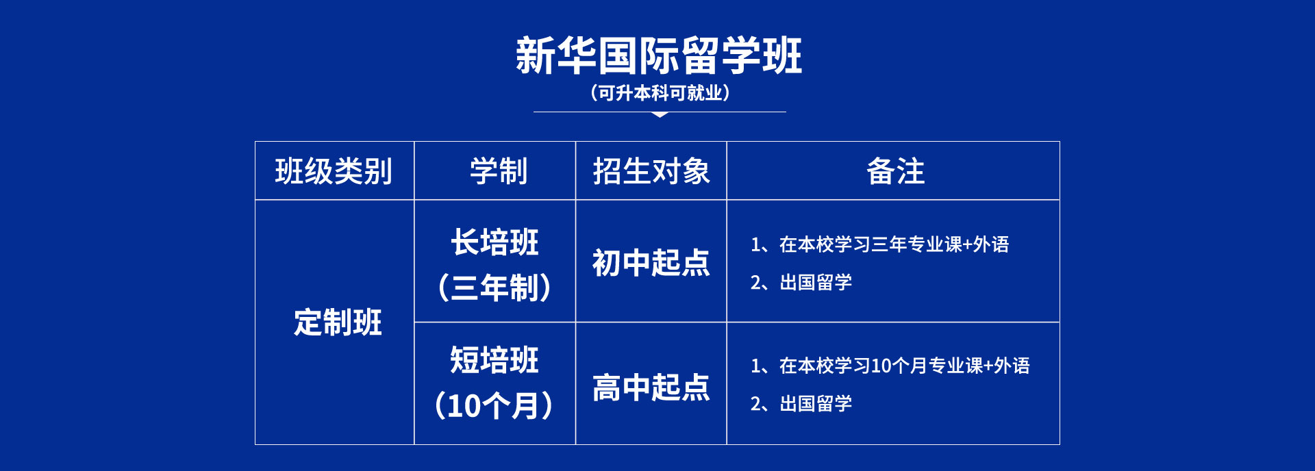 新华国际升学班