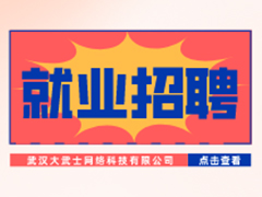 【就业招聘】武汉大武士网络科技有限公司·武汉新华就业招聘信息