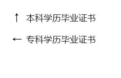 ӰӴƵӪ