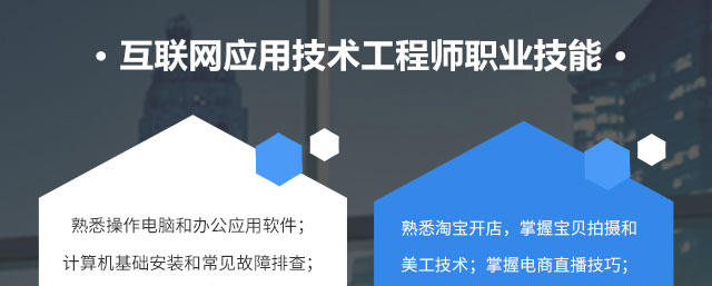 互联网应用工程师
