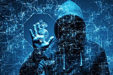 互联网应用工程师